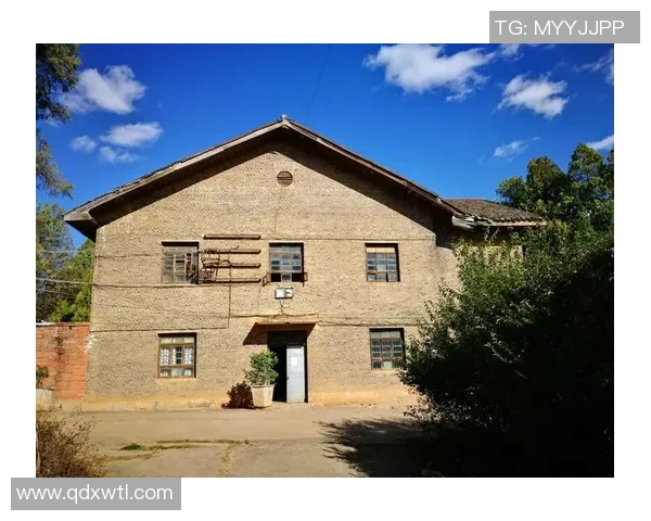 乒乓球场上的奋斗与荣耀：吴秀英的深度人生对话与启示